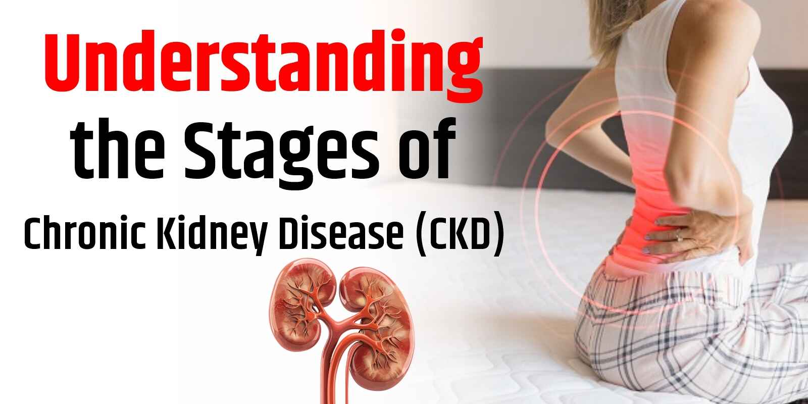 Understanding the Stages of Chronic Kidney Disease (CKD)